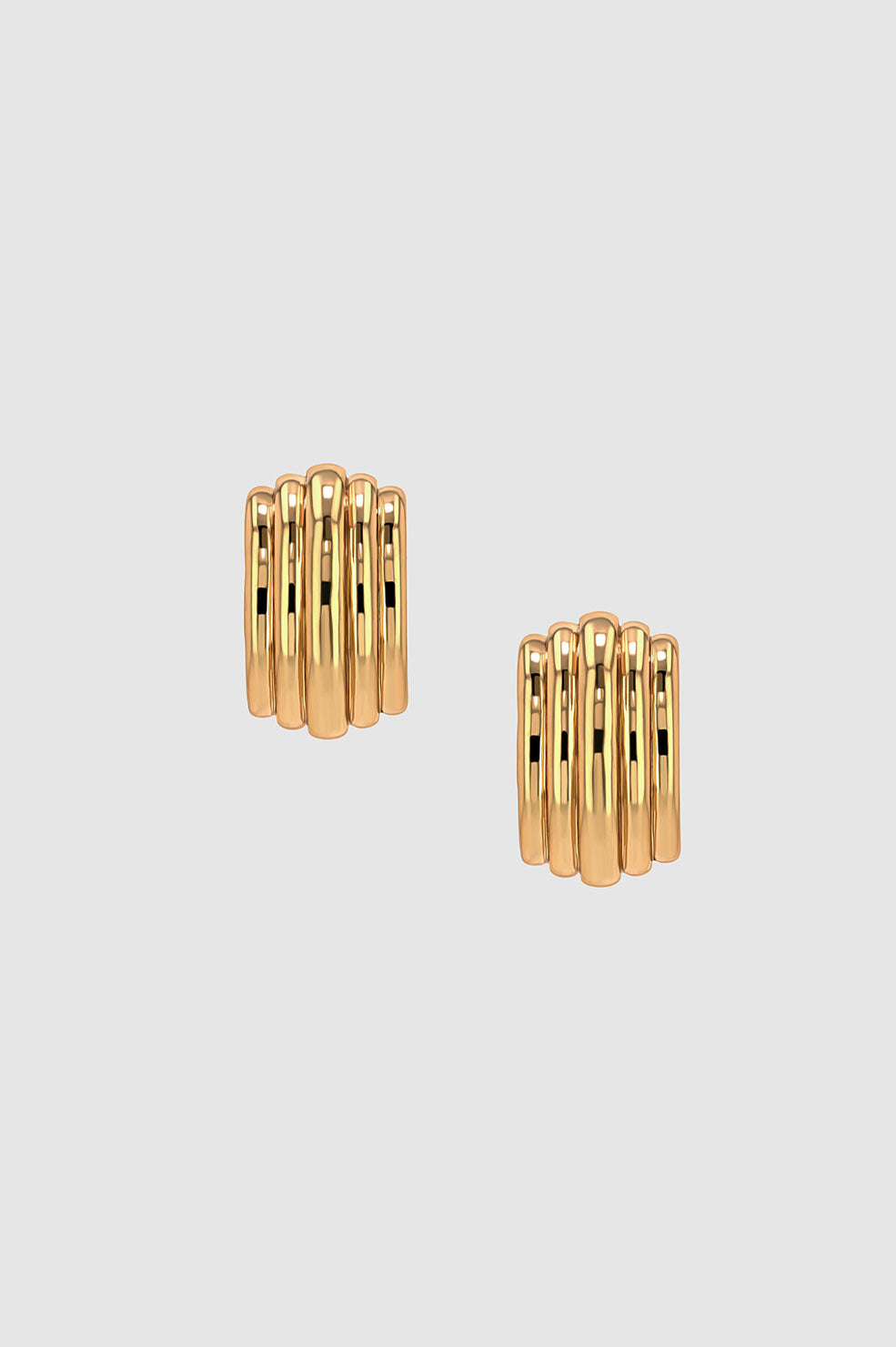 Chunky Ribbed Earrings  product image
