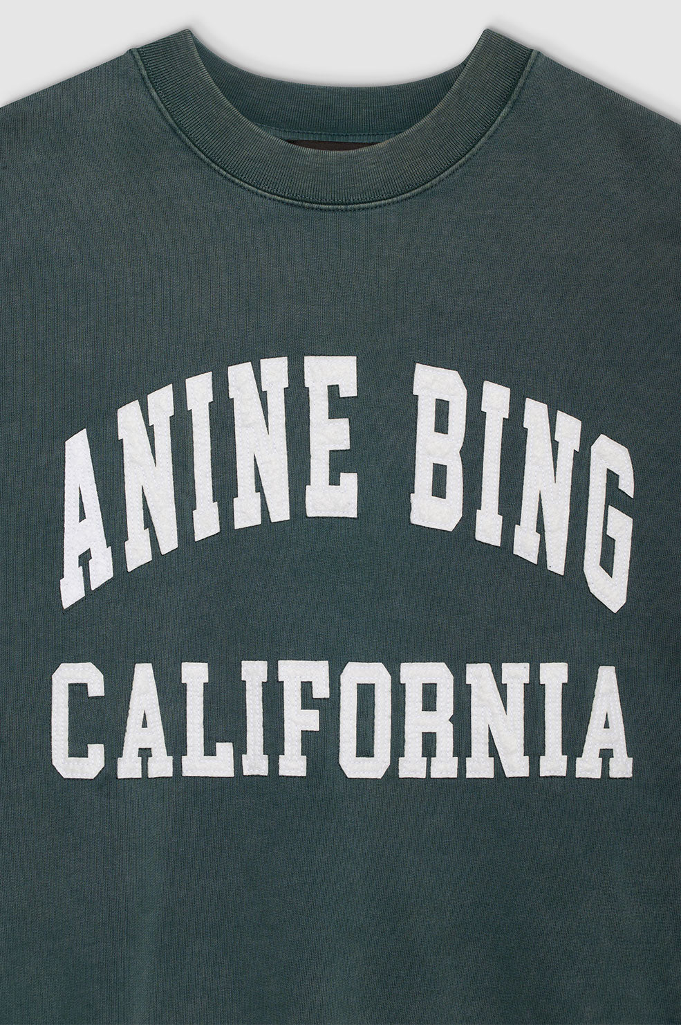 ANINE BING Miles Sweatshirt Anine Bing - Washed Dark Sage - Detail View