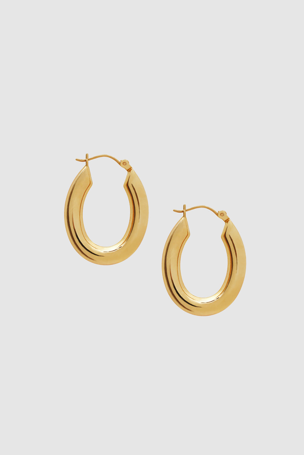 ANINE BING Tubular Oval Hoop Earrings - 14K Gold - Front View